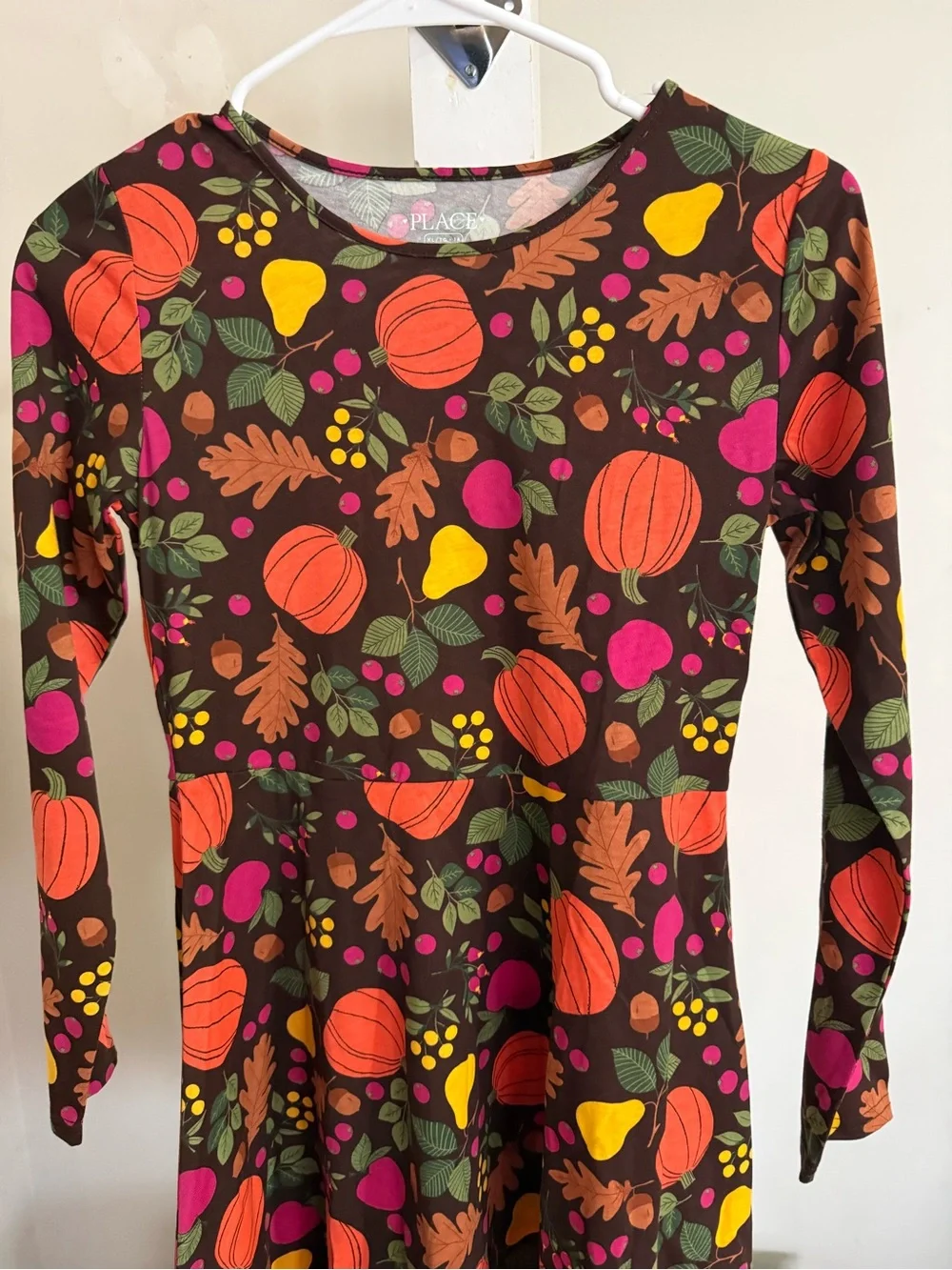 NWT Children’s Place Fall Dress
